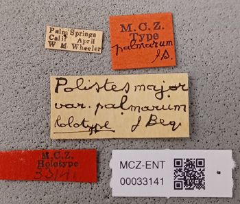 Media type: image;   Entomology 33141 Aspect: labels